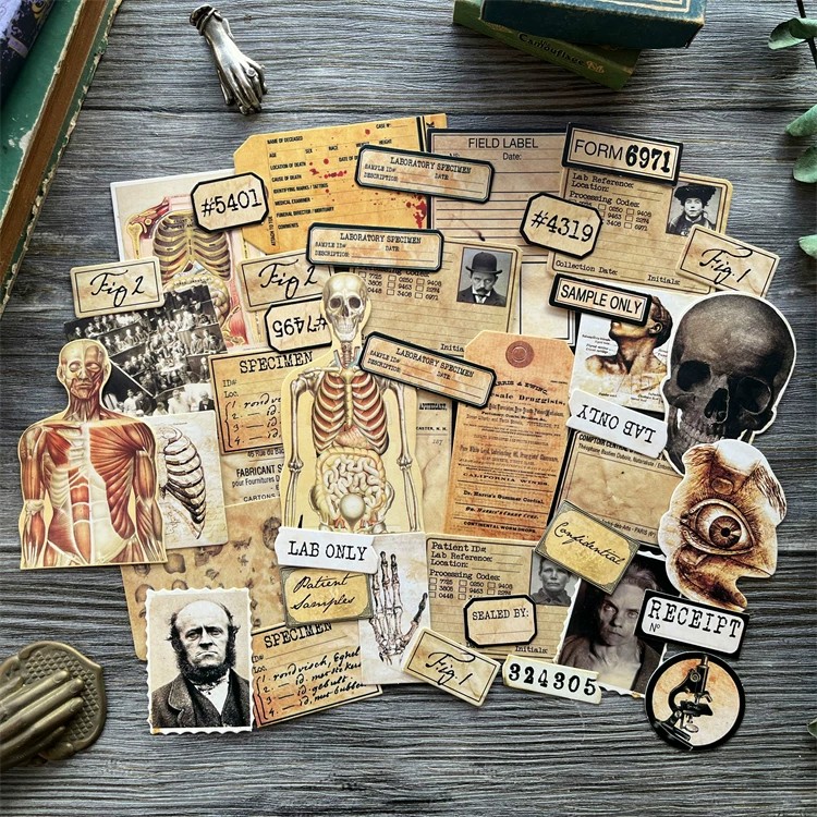 DIY Scrapbooking Vintage Doll  - Photography Journal review and price