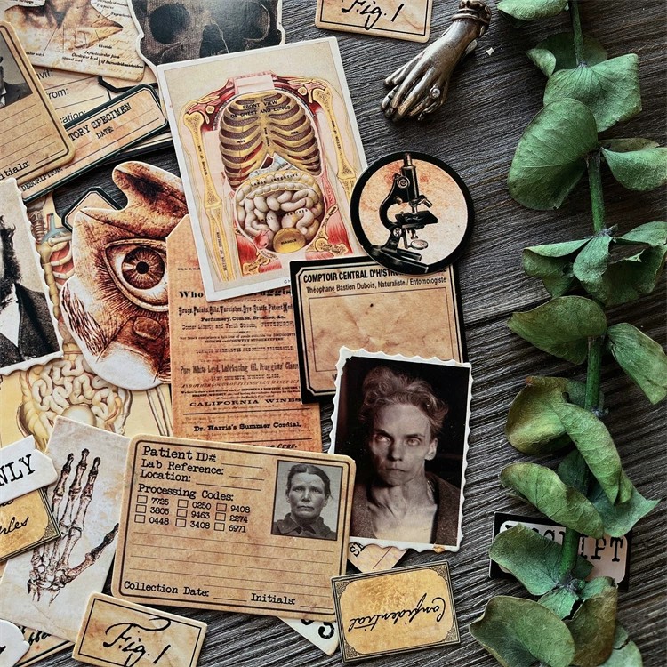DIY Scrapbooking Vintage Doll  - Photography Journal review and price