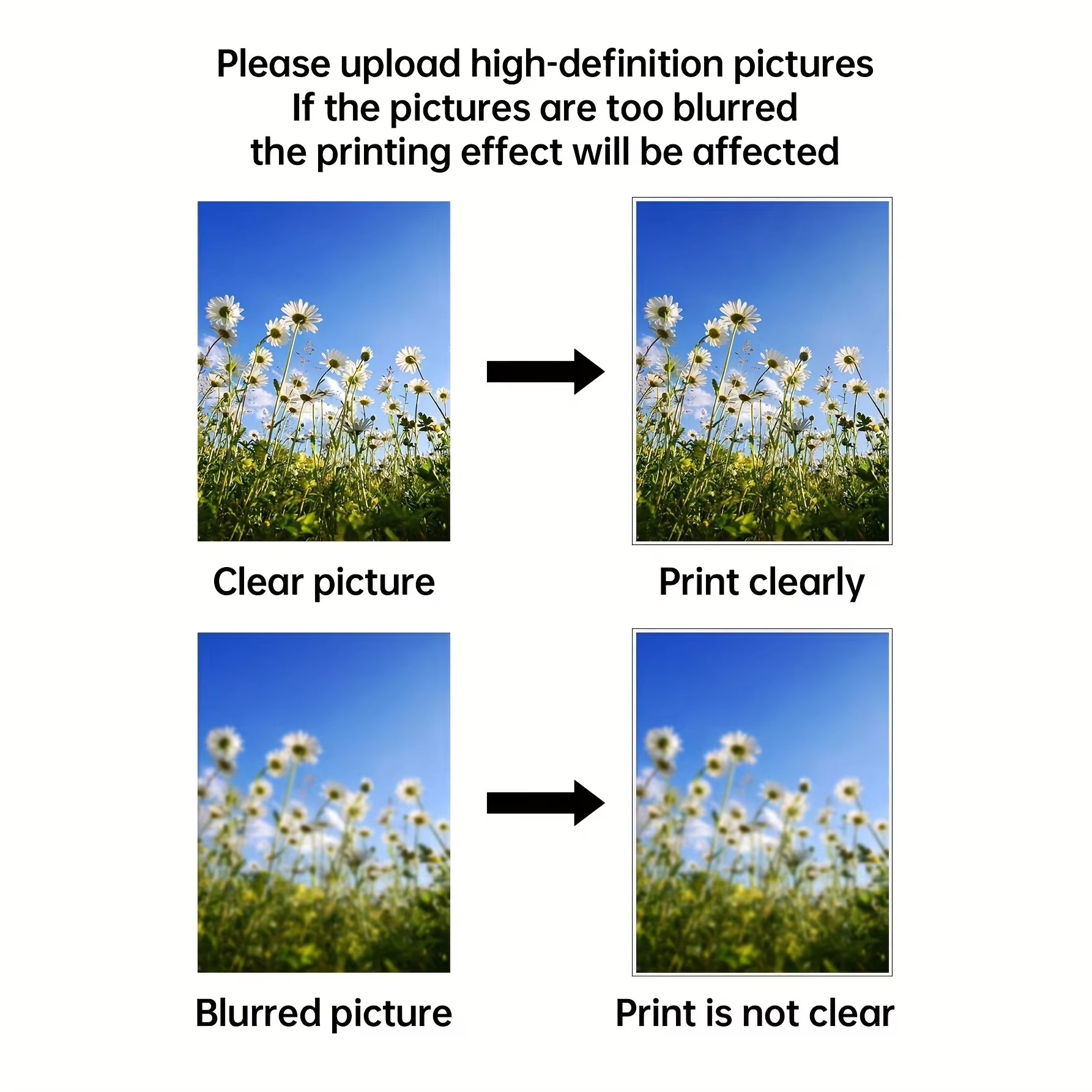 Custom Print Canvas Painting F - Photography Gallery review and price