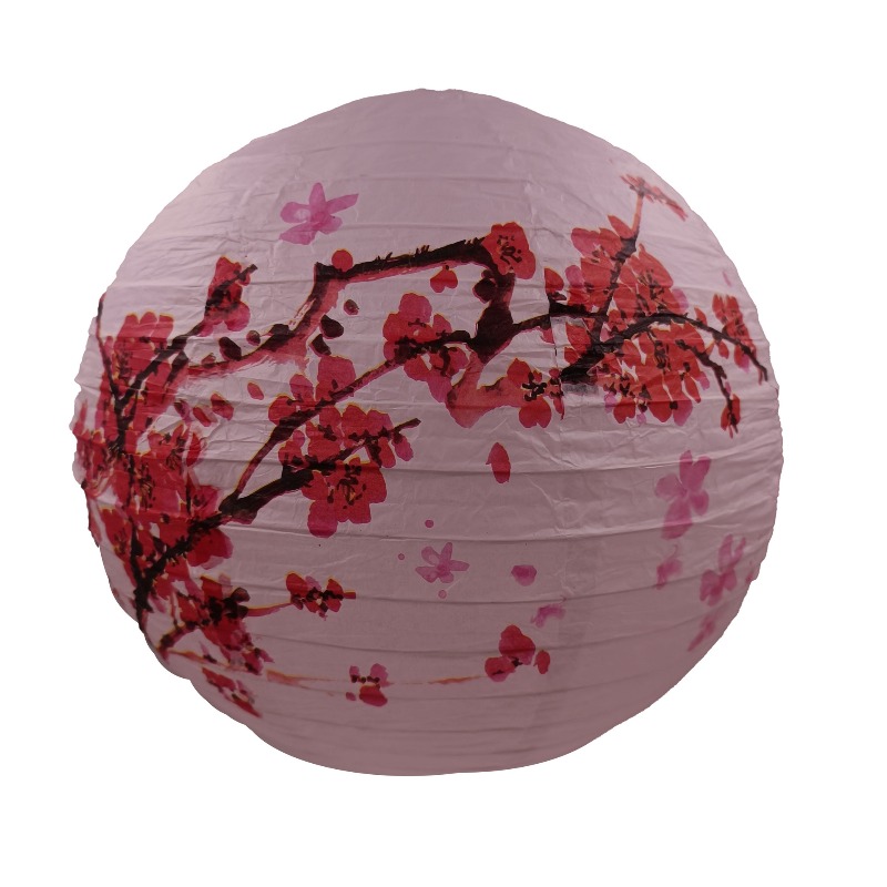 30cm Printed Paper Chinese Sty - Photography Day review and price